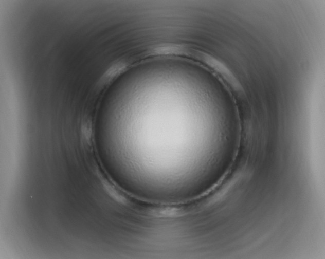X0000115360841200911101155