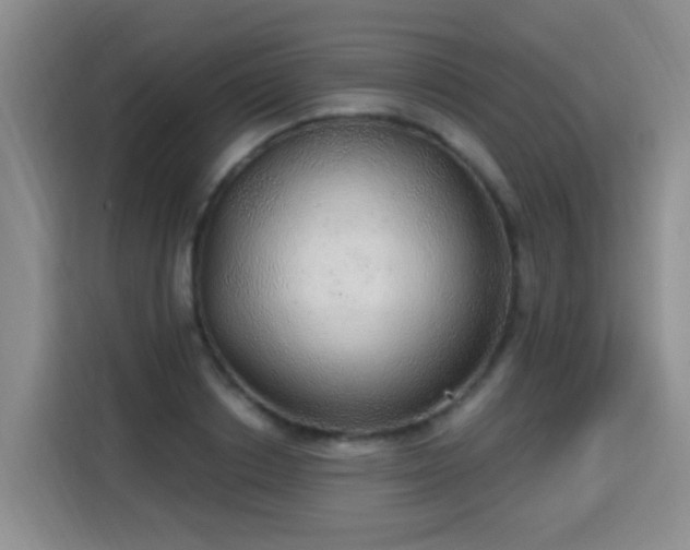 X0000115360842200911101155