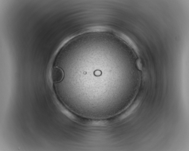 X0000115360843200911101155