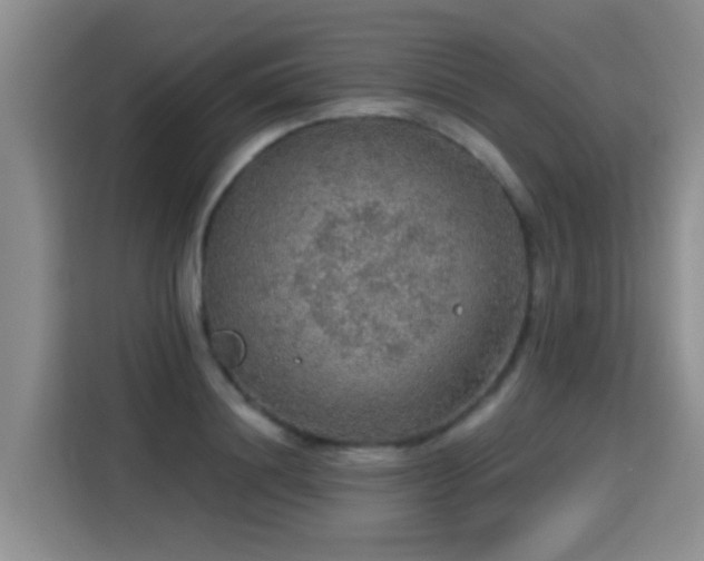 X0000115360844200911101155