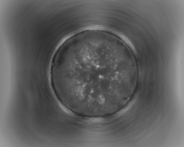 X0000115360845200911101155