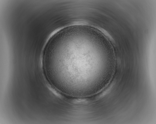 X0000115360846200911101155