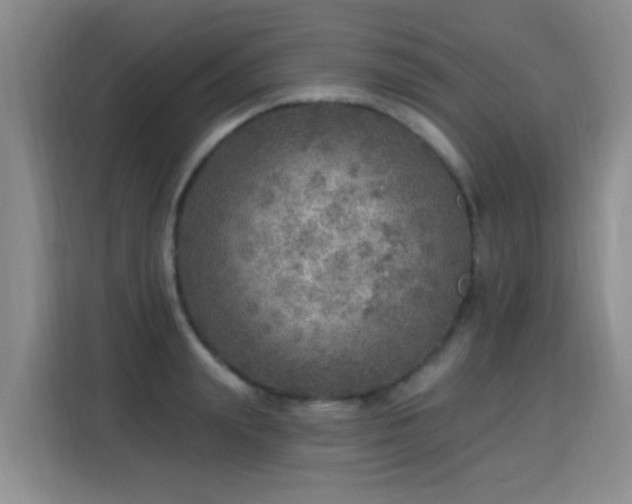X0000115360847200911101155