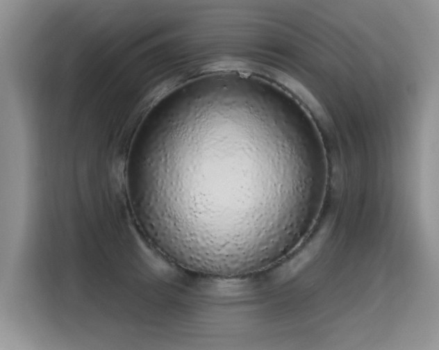 X0000115360849200911101155