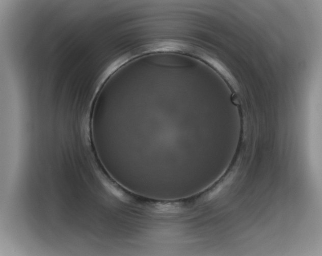 X0000115360850200911101155