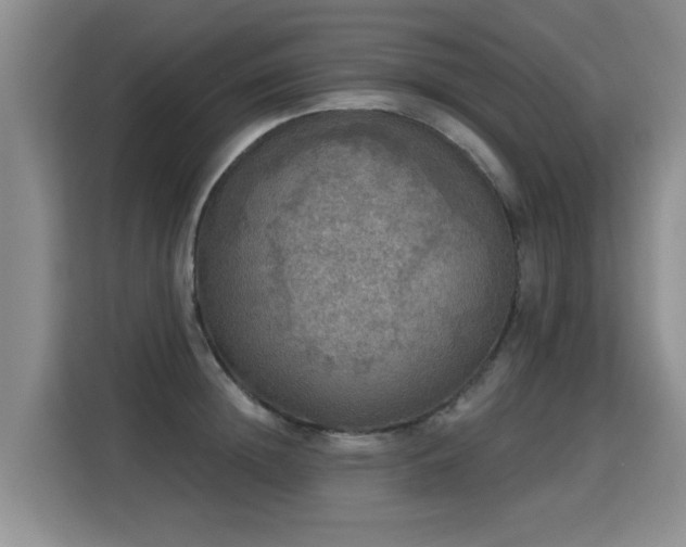 X0000115360852200911101155