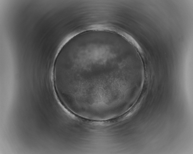 X0000115360855200911101155