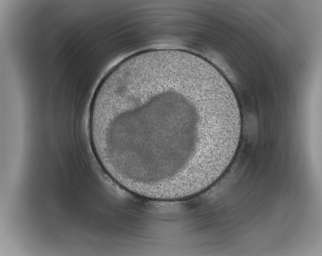 X0000115360856200911101155