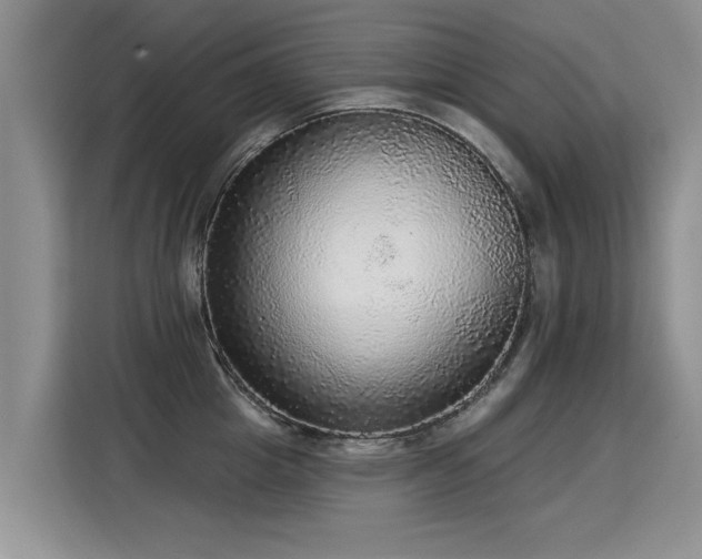 X0000115360857200911101155
