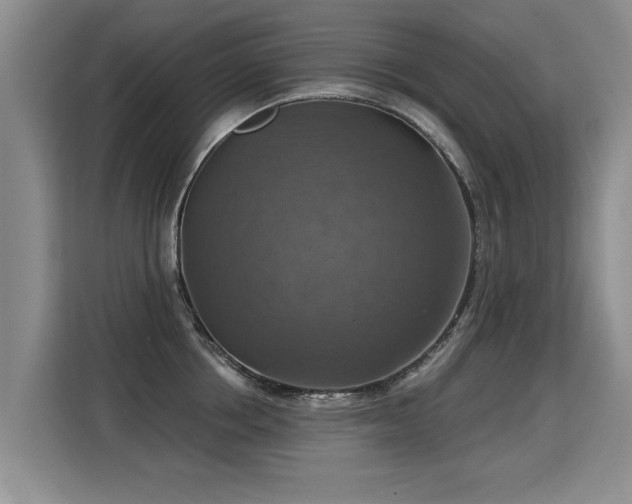 X0000115360858200911101155