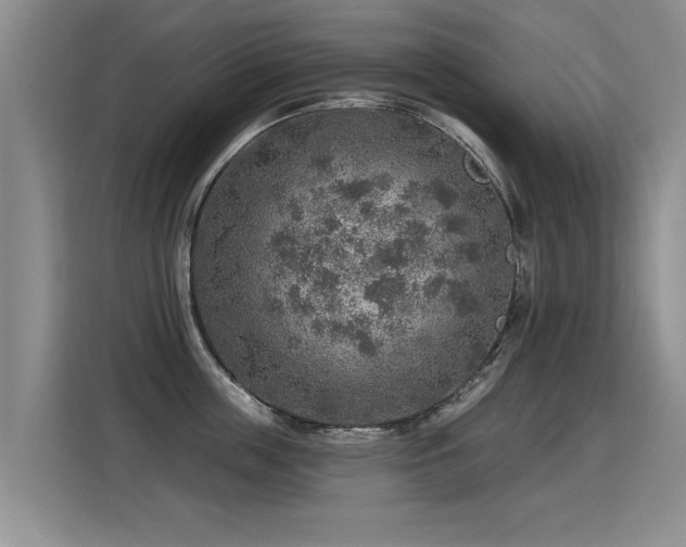 X0000115360859200911101155