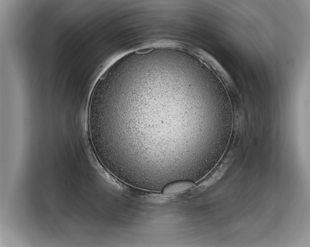 X0000115360860200911101155