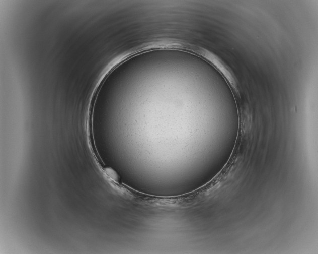 X0000115360861200911101155