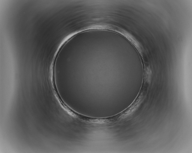 X0000115360862200911101155