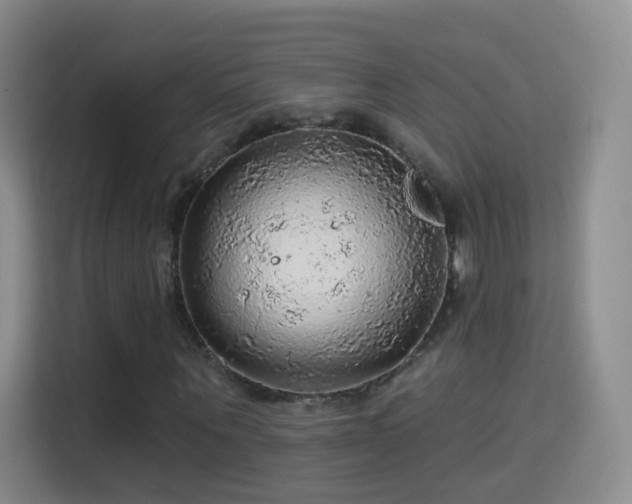 X0000115360867200911101154