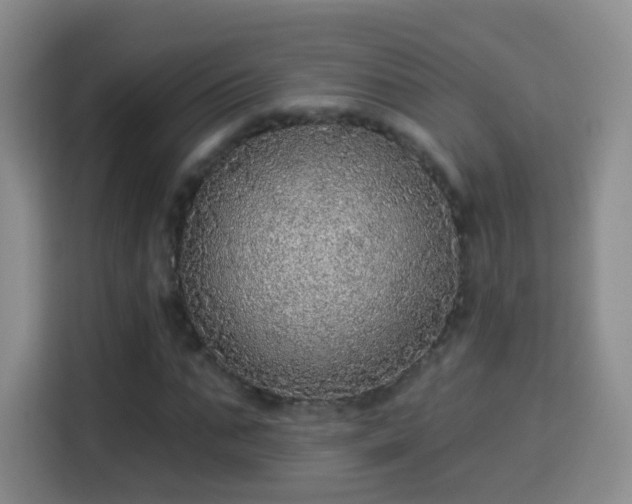 X0000115360871200911101154