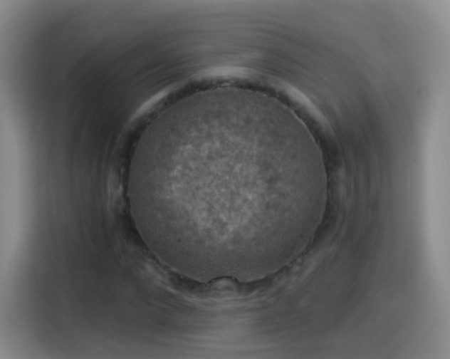 X0000115360872200911101154
