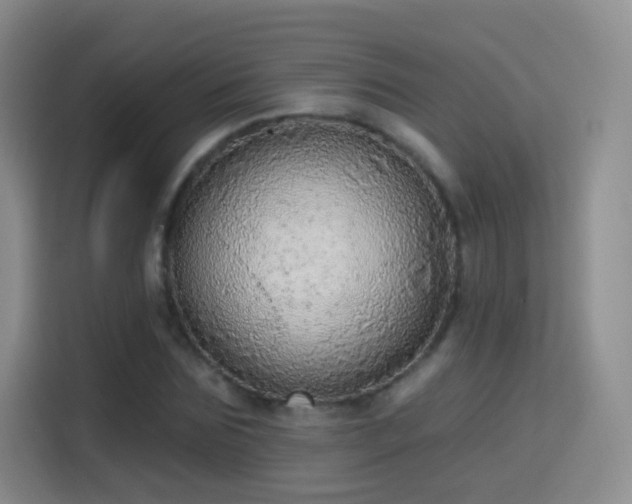 X0000115360875200911101154