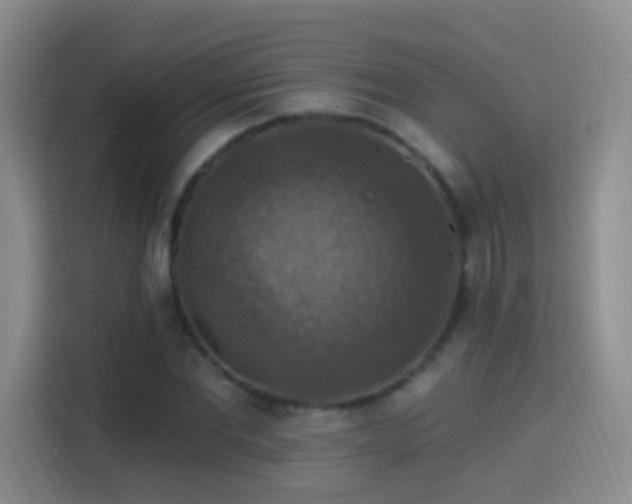 X0000115360877200911101154