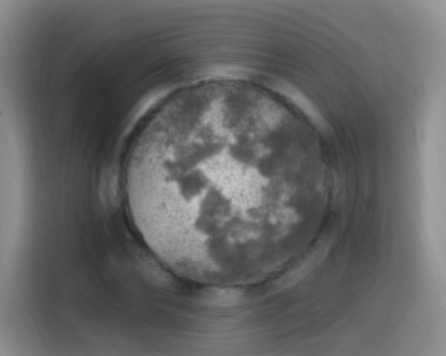 X0000115360878200911101154