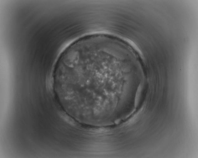 X0000115360879200911101154