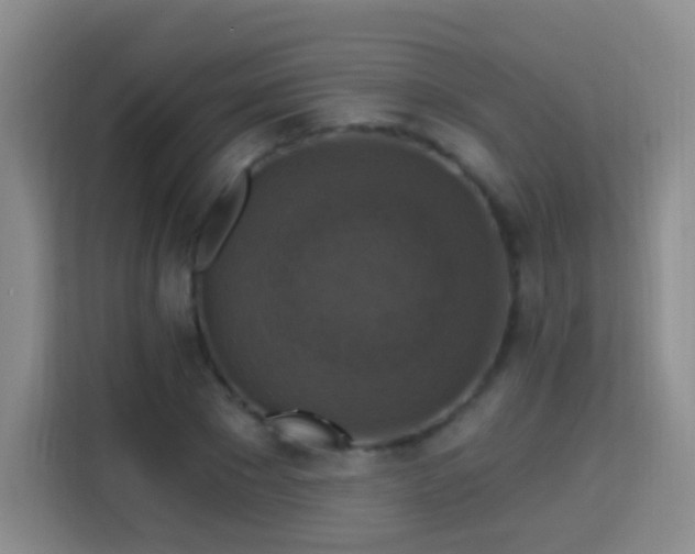 X0000115360881200911101154