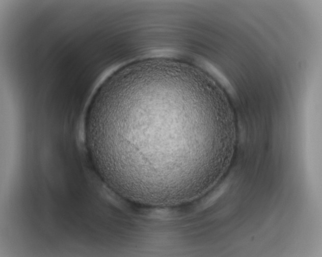 X0000115360883200911101154