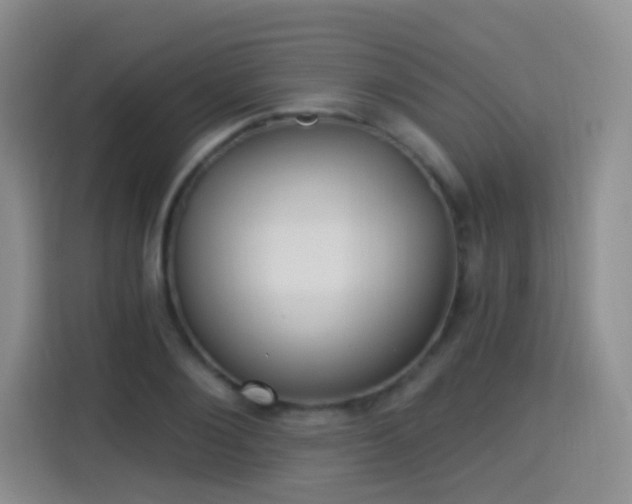 X0000115360884200911101154