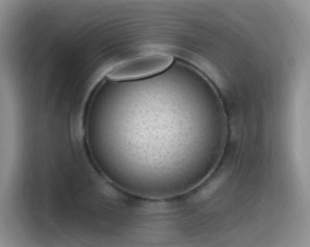 X0000115360885200911101154