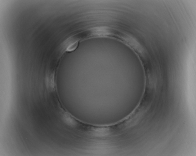X0000115360889200911101154
