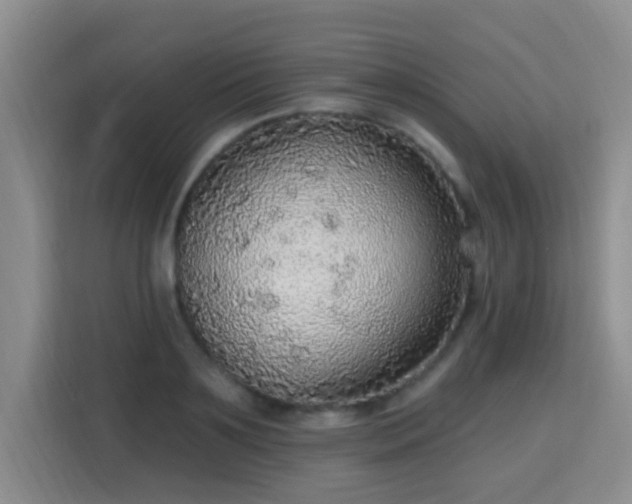 X0000115360891200911101154