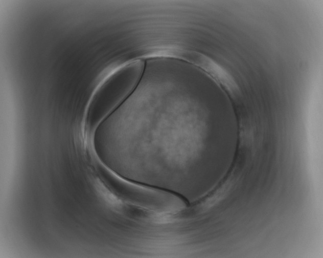 X0000115360892200911101154