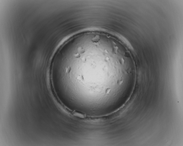 X0000115360895200911101154