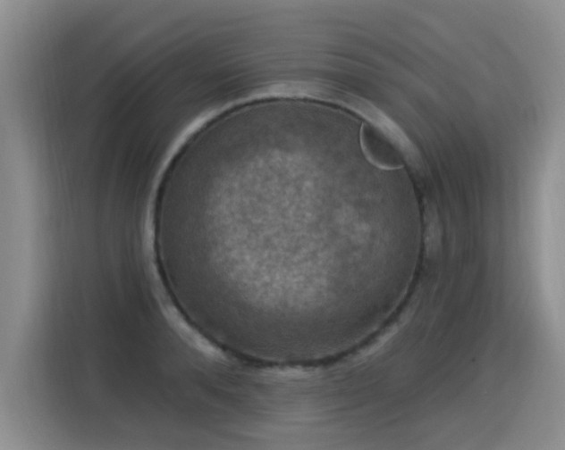X0000115360896200911101154