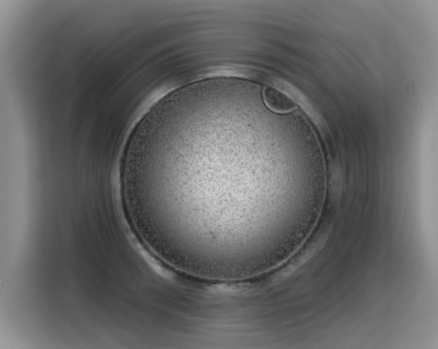 X0000115360898200911101154