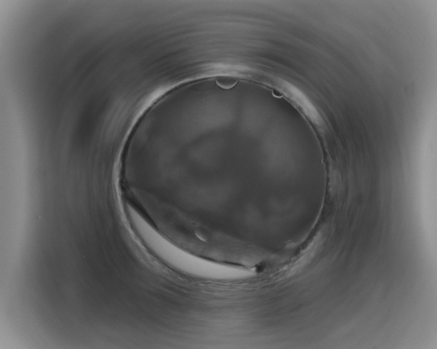 X0000115360899200911101154