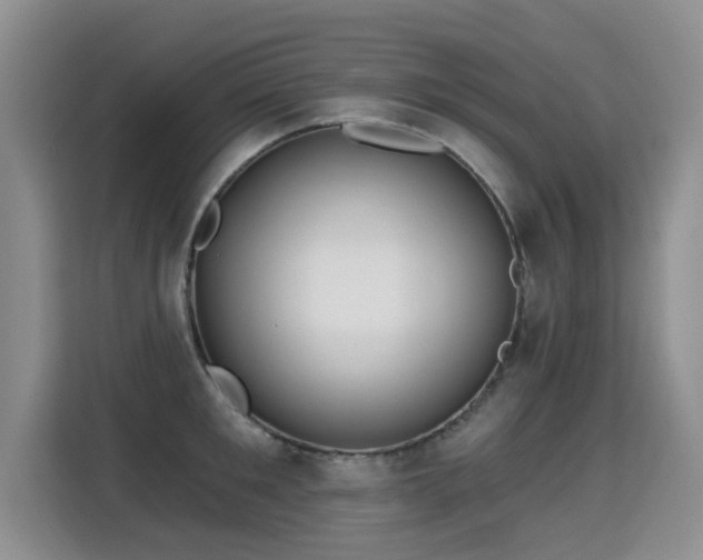 X0000115360901200911101154
