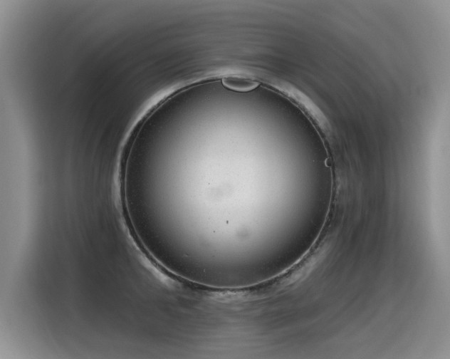 X0000115360902200911101154