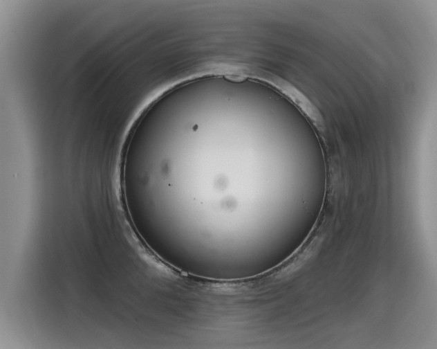 X0000115360904200911101154
