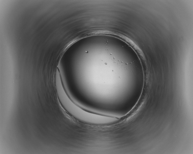 X0000115360905200911101154