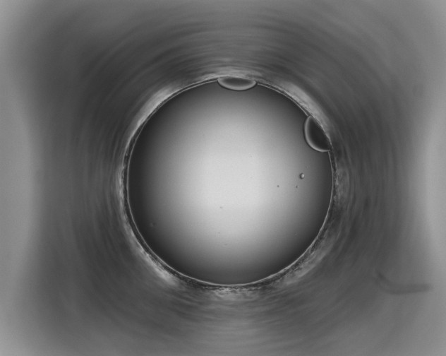 X0000115360906200911101154