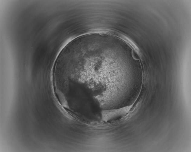 X0000115360907200911101154