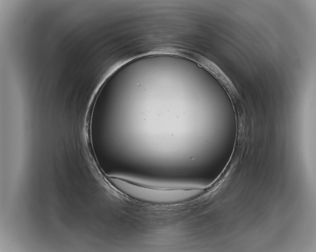 X0000115360908200911101154