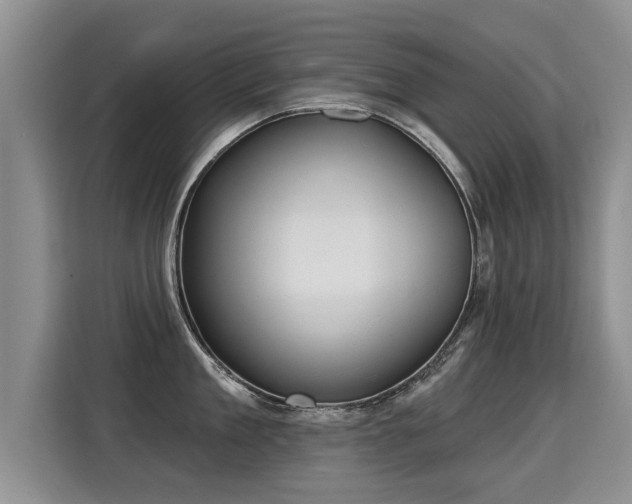 X0000115360909200911101154