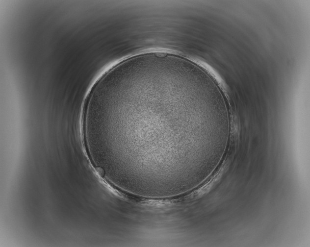 X0000115360910200911101154