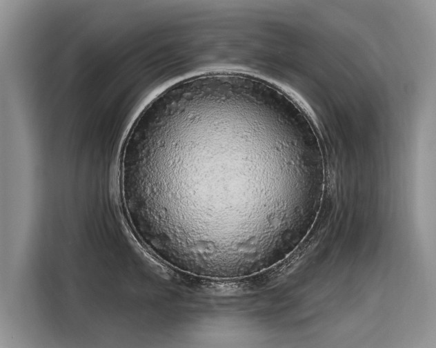 X0000115360911200911101154