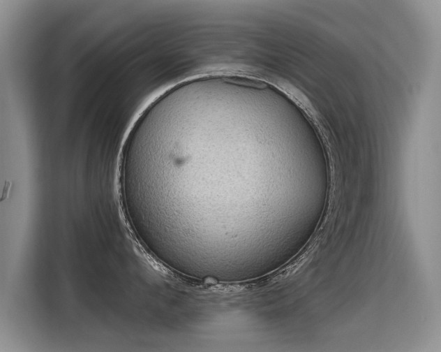 X0000115360912200911101154