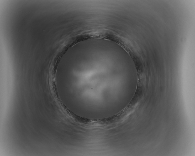 X0000115360913200911101153