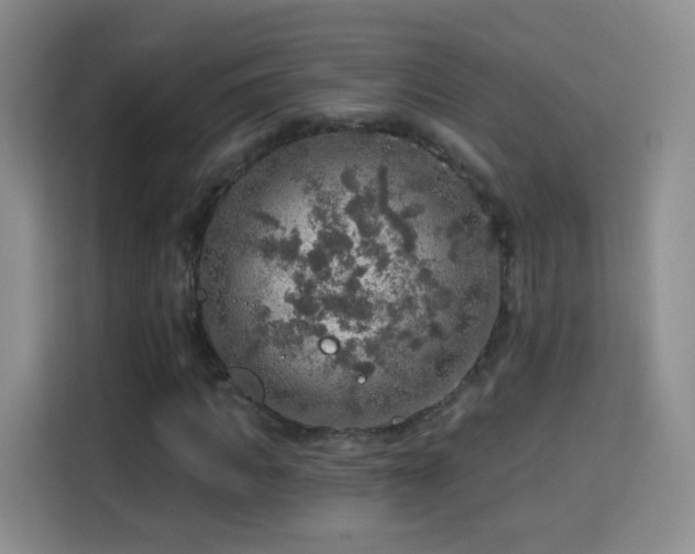 X0000115360917200911101153