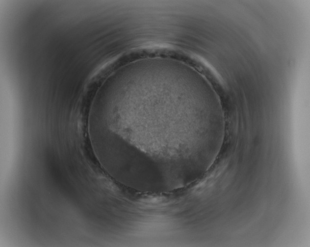 X0000115360919200911101153